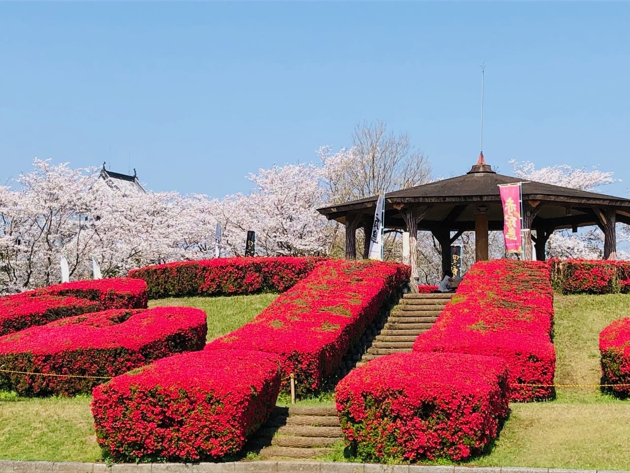 天ヶ城公園のつつじ