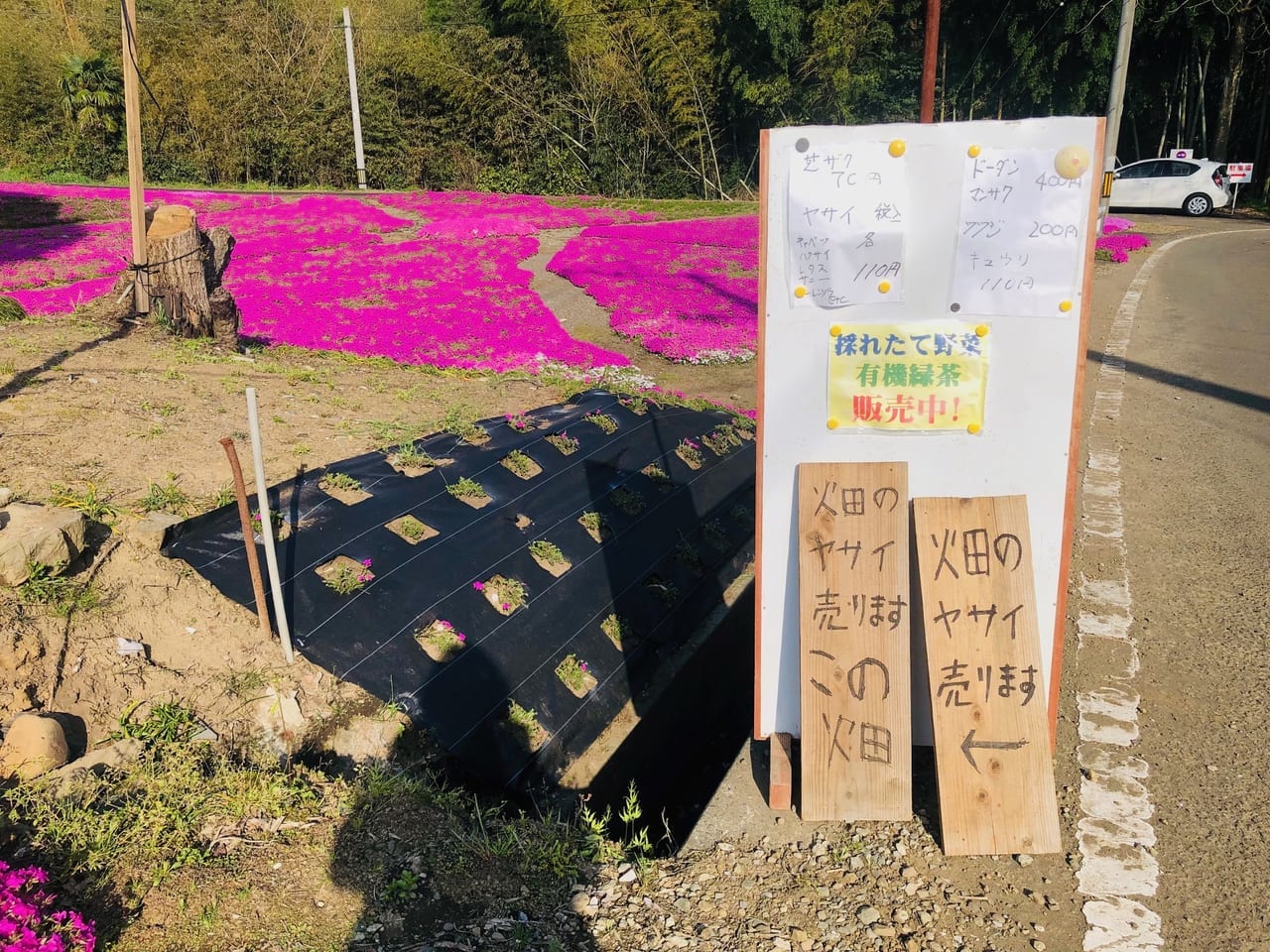 一里山の野菜