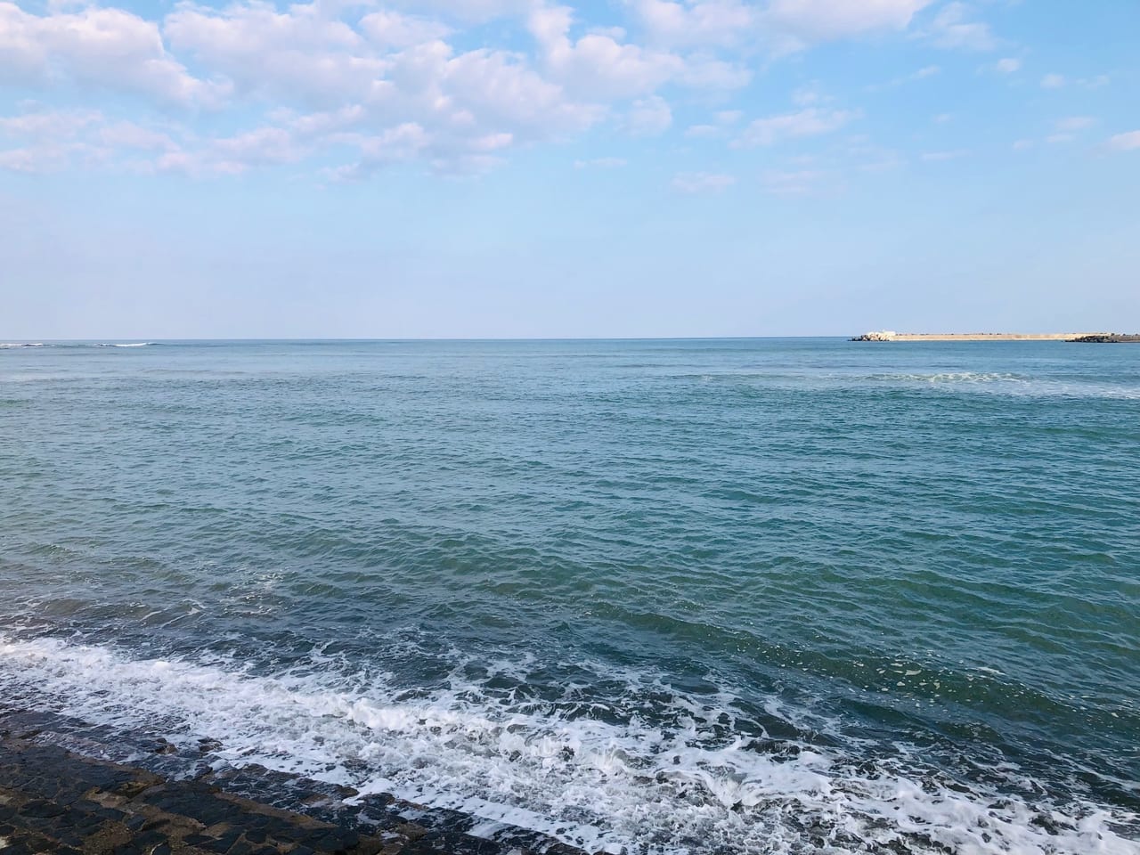 宮交ボタニックガーデン青島